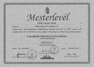 Mesterlevél